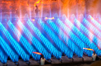 Braichmelyn gas fired boilers